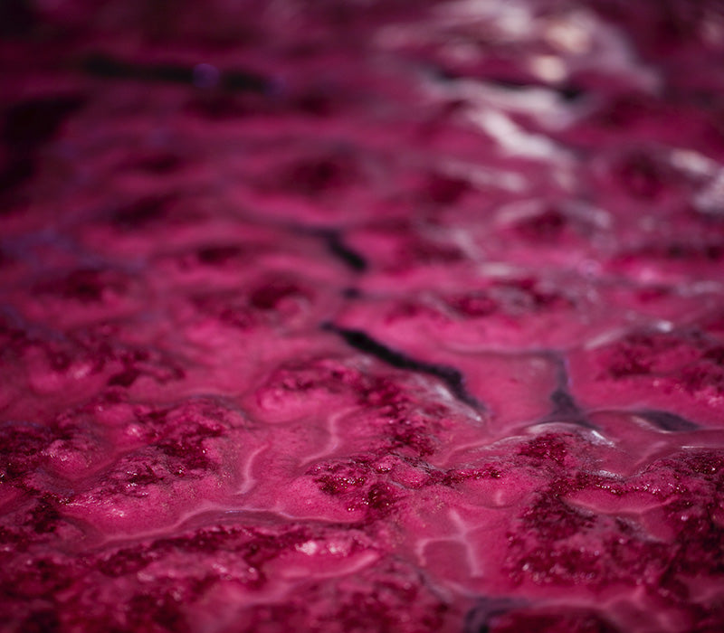 slider image 16231213304c742b47-0