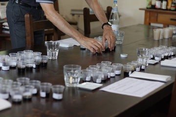 First Level Course for Critical Taster of Balsamic Vinegars