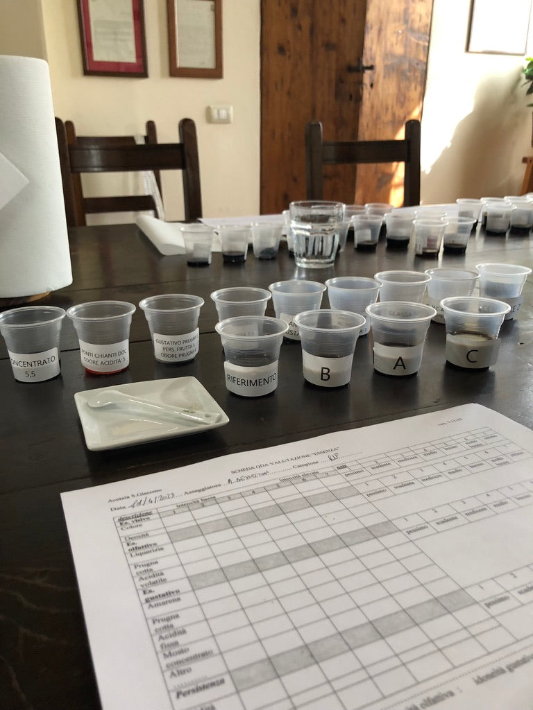 First Level Course for Critical Taster of Balsamic Vinegars