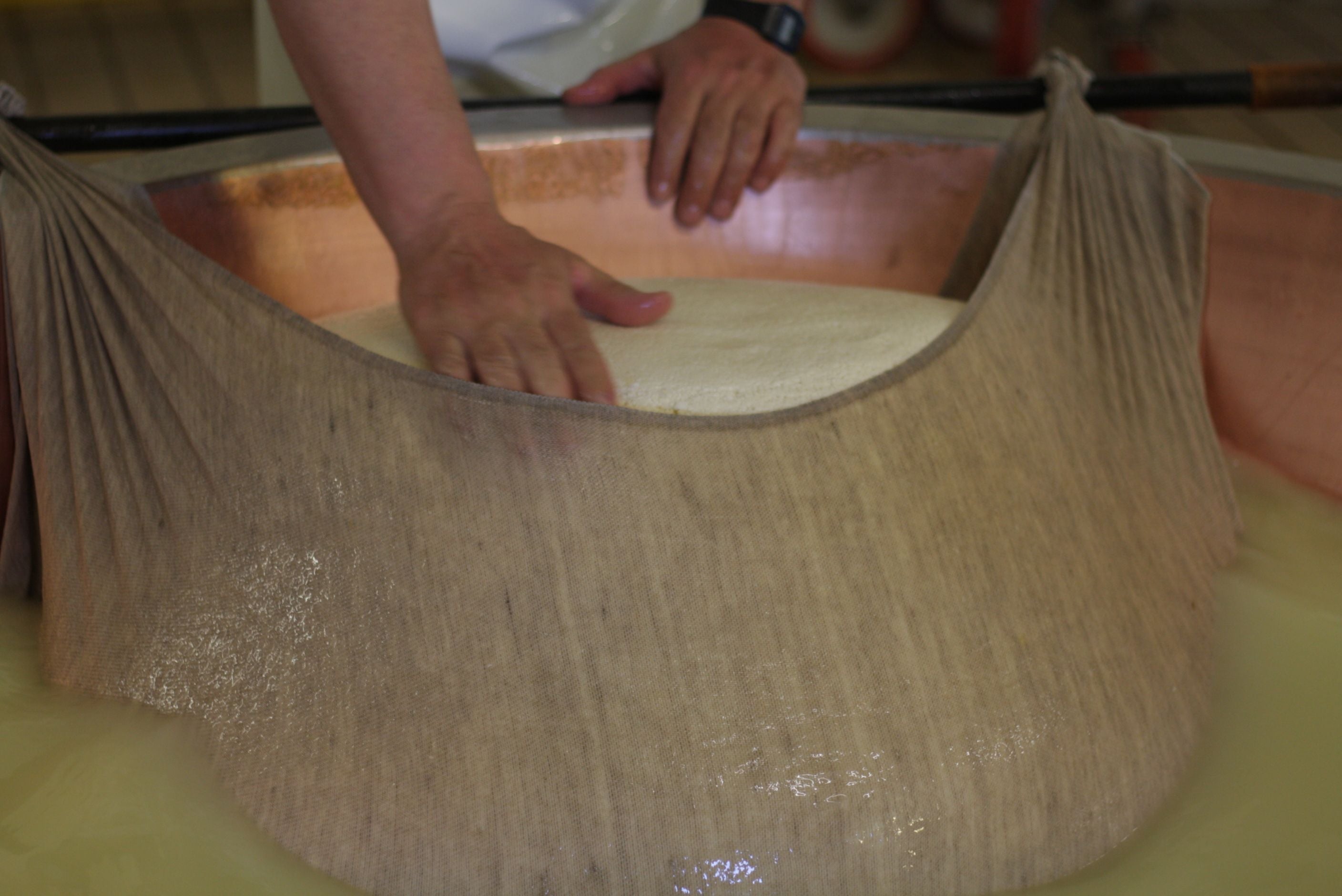 Dairy, Acetaia and Aperitif tour